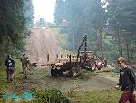 Bild vergrößern: Holzfällarbeiten Holzfällarbeiten